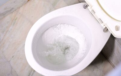 What To Do If You Have an Overflowing Toilet