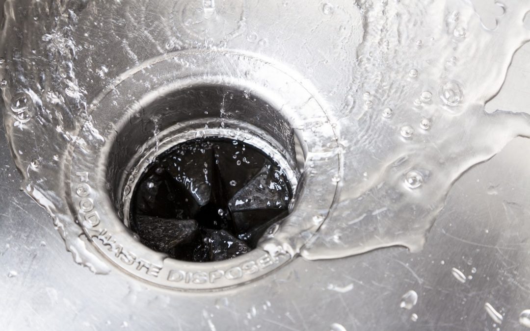 Know the Limits of Your Garbage Disposal