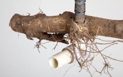 Clear Pipes, Happy Home: How RootX and Grease-X Protect Your Plumbing