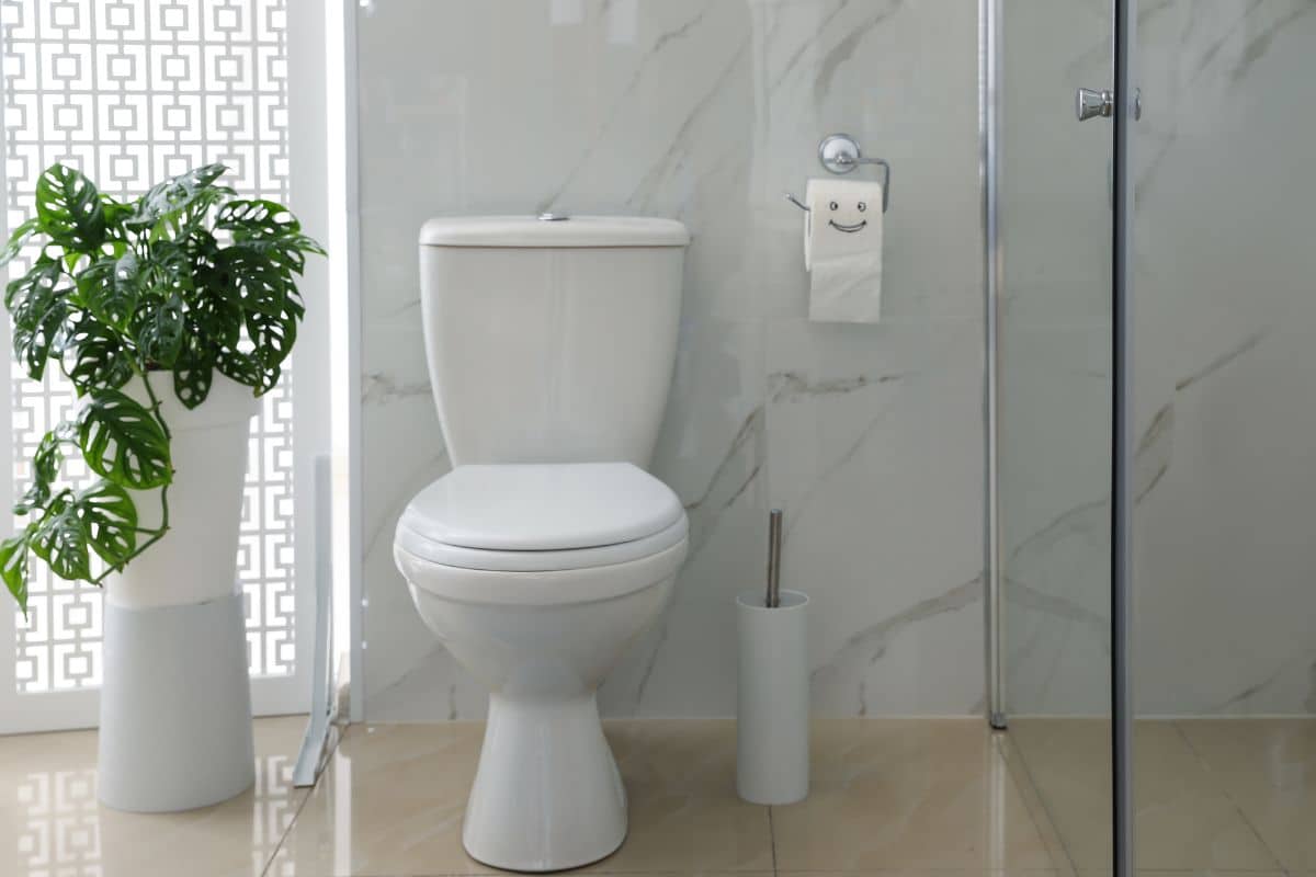 Modern residential toilet installation in Savannah GA bathroom